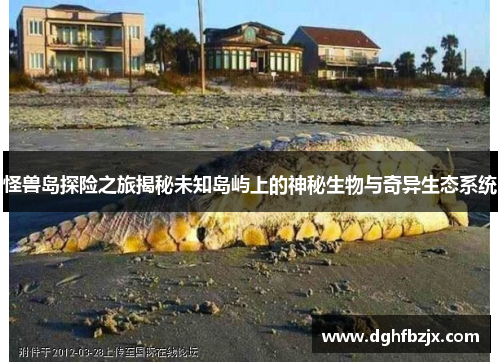 怪兽岛探险之旅揭秘未知岛屿上的神秘生物与奇异生态系统