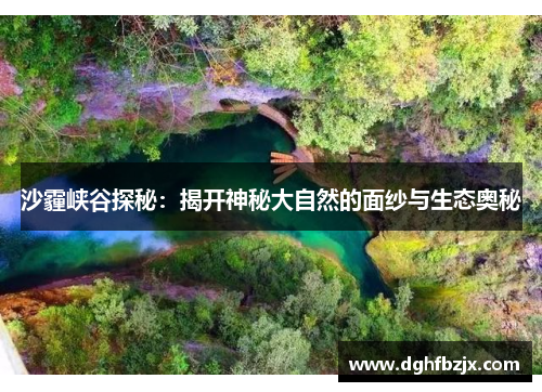 沙霾峡谷探秘：揭开神秘大自然的面纱与生态奥秘